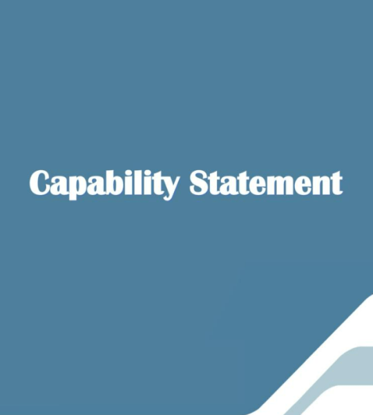 Capability Statement Template Word 7