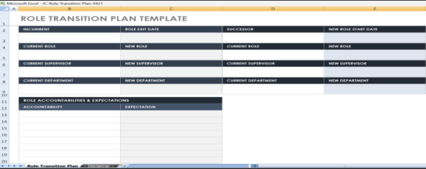 Business Transition Plan Template Excel 1