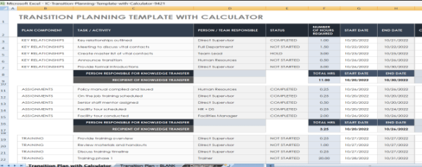 Business Transition Plan Template Excel 2