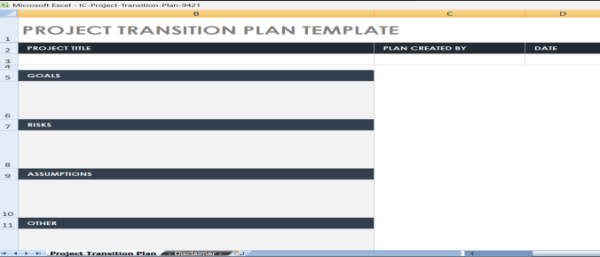 Business Transition Plan Template Excel 3