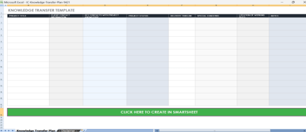 Business Transition Plan Template Excel 4