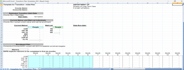 Business Transition Plan Template Excel 5