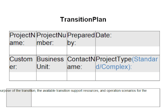 Business Transition Plan Template Excel 7