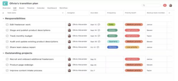 Business Transition Plan Template Online Tool - Asana