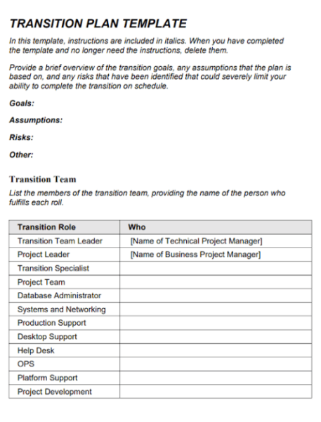 Business Transition Plan Template PDF 1