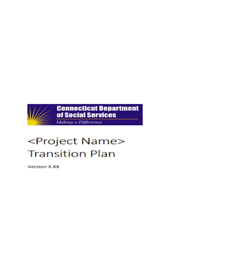 Business Transition Plan Template PDF 3