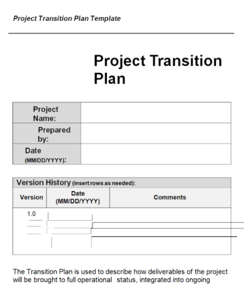 Business Transition Plan Template Word 5