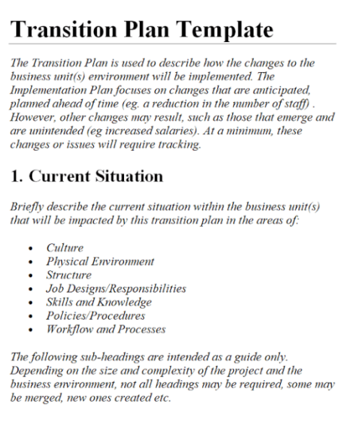 Business Transition Plan Template Word 6