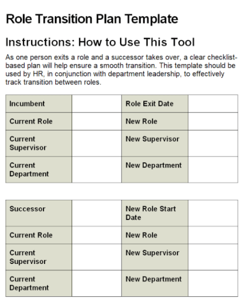 Business Transition Plan Template Word 7