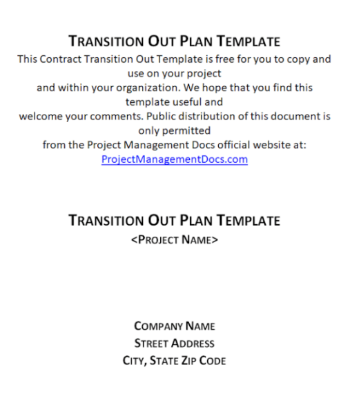 Business Transition Plan Template Word 8