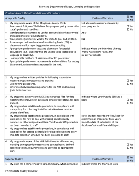 Data Quality Checklist Template Word 1