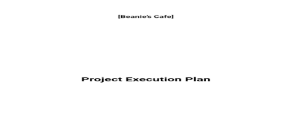 Project Execution Plan Template - PDF 2